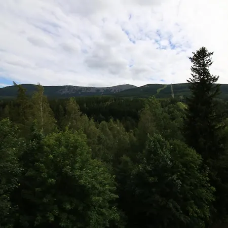 Triventi カルパッチ