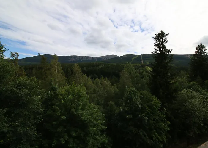 Triventi カルパッチ